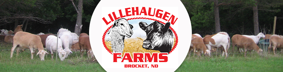 Lillehaugen Farms